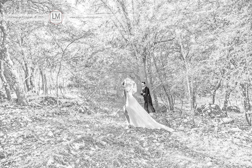 Fotos de novios atrevidas de fotógrafos en jaén. Fotos de boda en la Sierra.