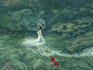 fotografos-boda-jaen-originales