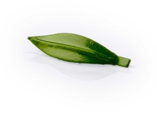 Foto de producto para tienda online