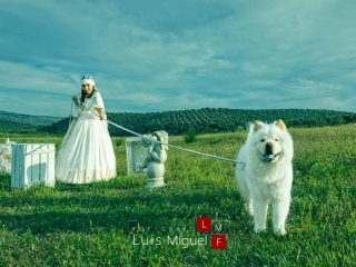 Foto de ni&ntilde;a de Comuni&oacute;n con perro blanco en Ja&eacute;n