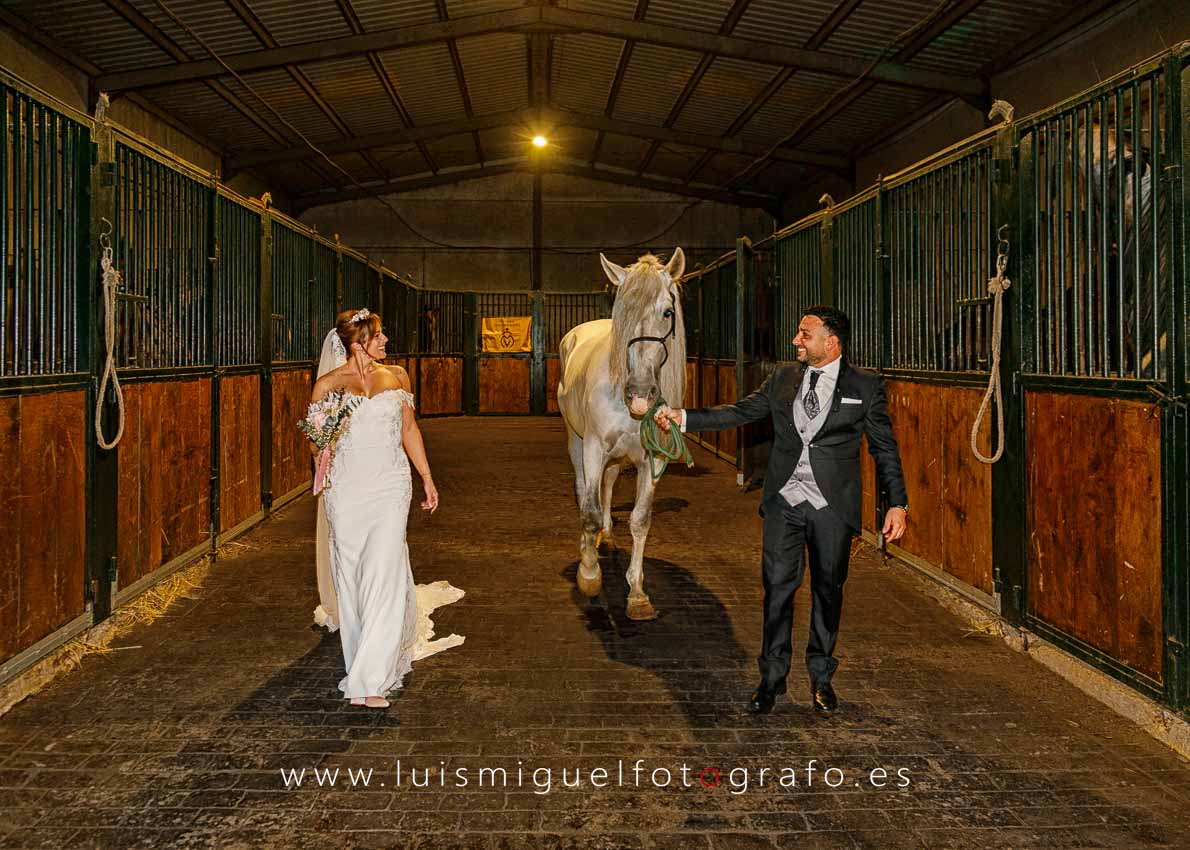 Novios paseando con un caballo blanco por las cuadras de Cortijo el Brujuelo